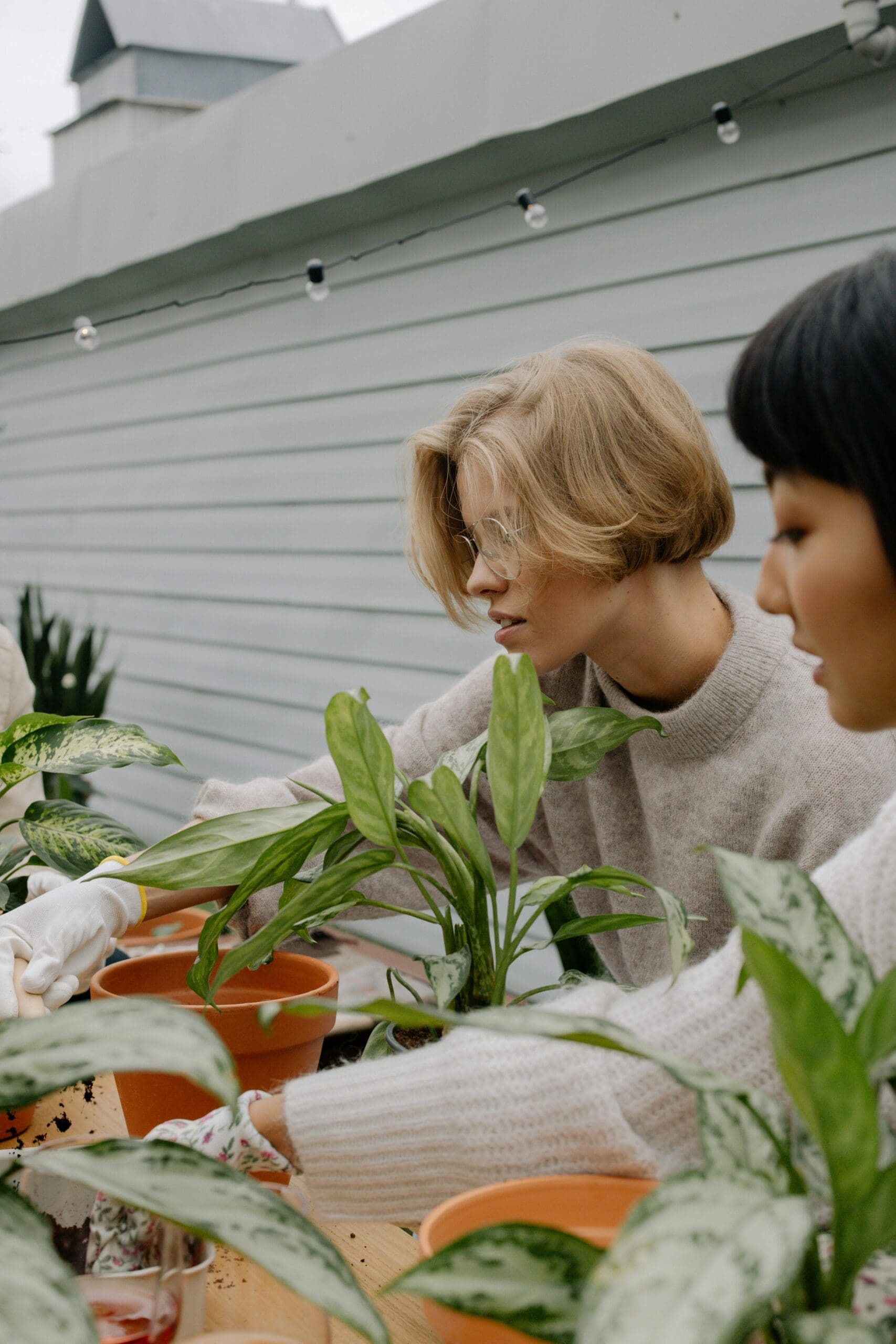 Two women standing at a table gardening and putting plants into terracotta pots.